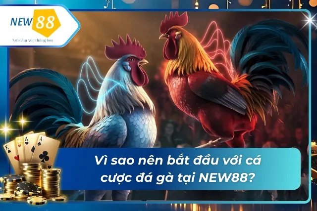 Cá cược đá gà tại NEW88