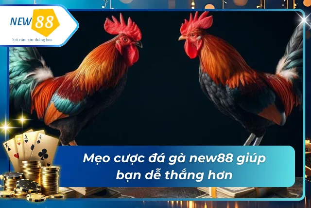 Mẹo cá cược đá gà new88
