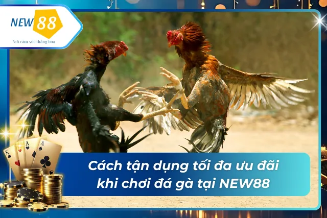 Tận dụng tối đa ưu đãi