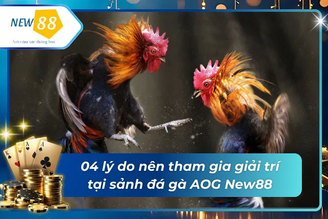 Đá Gà Sảnh AOG - Thiên Đường Đá Gà Trực Tuyến Vạn Người Mê Lý do nên tham gia giải trí tại sảnh đá gà AOG New88
