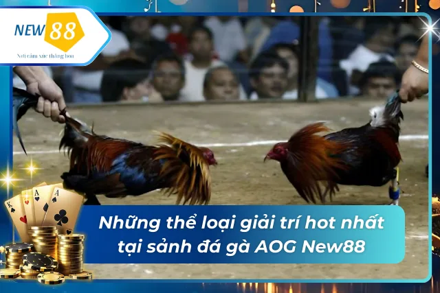 Đá Gà Sảnh AOG - Thiên Đường Đá Gà Trực Tuyến Vạn Người Mê Những thể loại giải trí hot nhất tại đá gà AOG New88