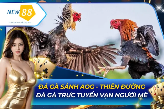 Đá Gà Sảnh AOG - Thiên Đường Đá Gà Trực Tuyến Vạn Người Mê Đá Gà Sảnh AOG