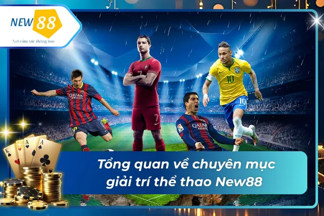 Giới thiệu sơ lược về sảnh thể thao tại New88